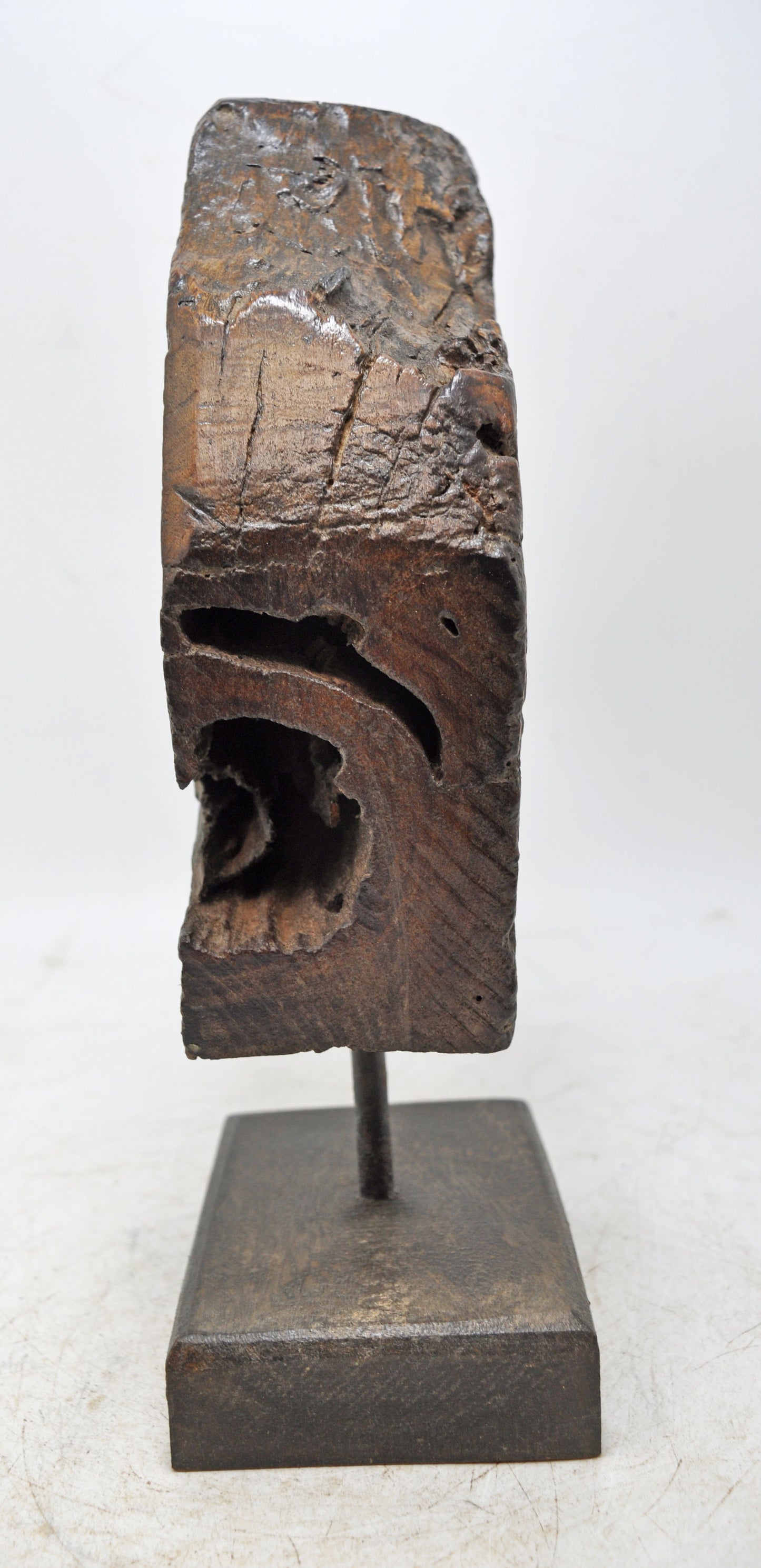 Antique Wooden Horse Head Bust Original Old Hand Carved