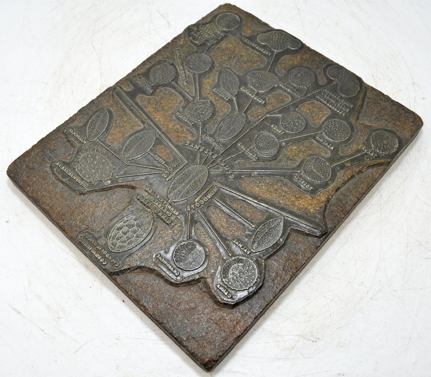 Antique Wooden Metal Printing Press Dye Original Old Hand Crafted