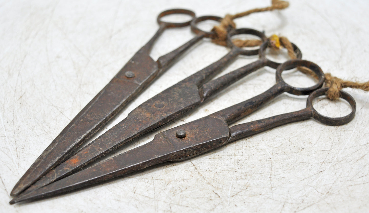 Lot of 3 Antique Iron Small Scissors Original Old Hand Crafted Engraved