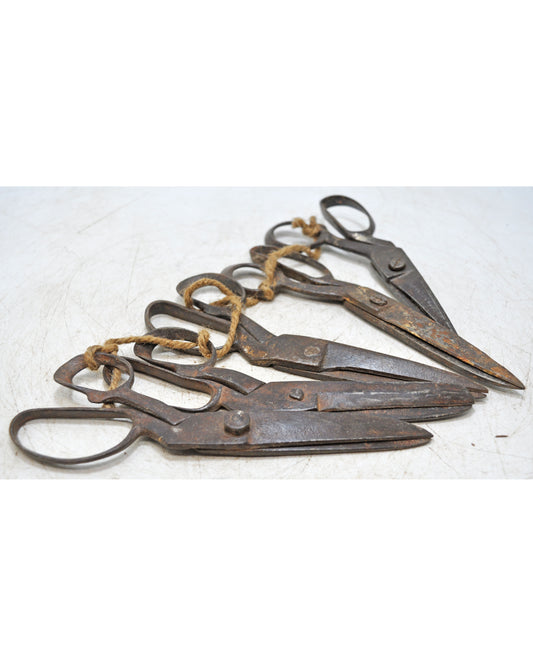 Lot of 5 Antique Iron Old Long Tailor's Scissors Original Old Hand Crafted