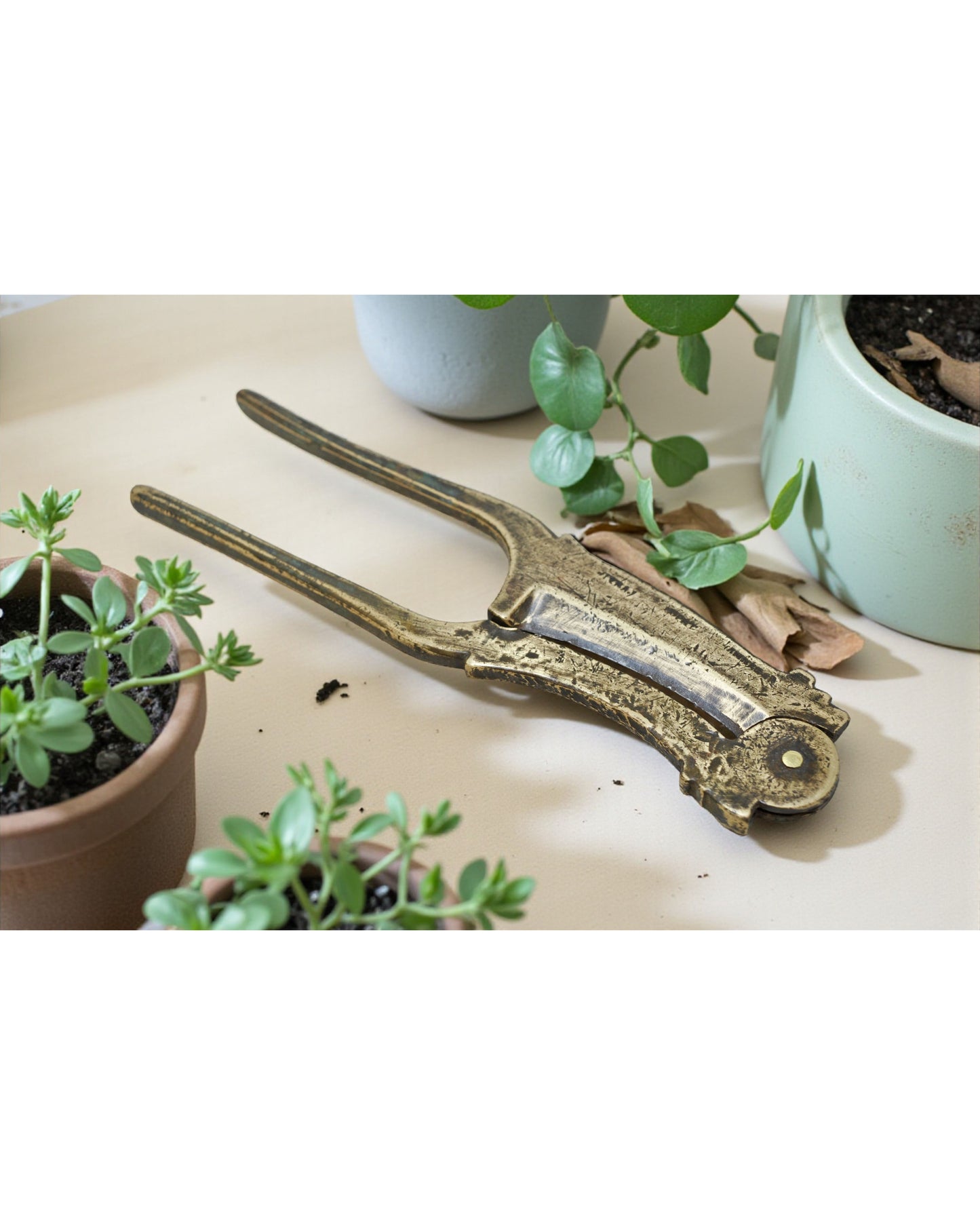 Antique Brass Betel Nuts Cutter Sarota Original Old Hand Crafted Engraved